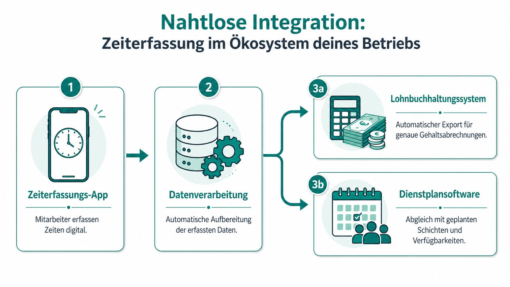 Eine Grafik zeigt den digitalen Workflow der Zeiterfassung von der App bis zur Lohnabrechnung und Dienstplansoftware.